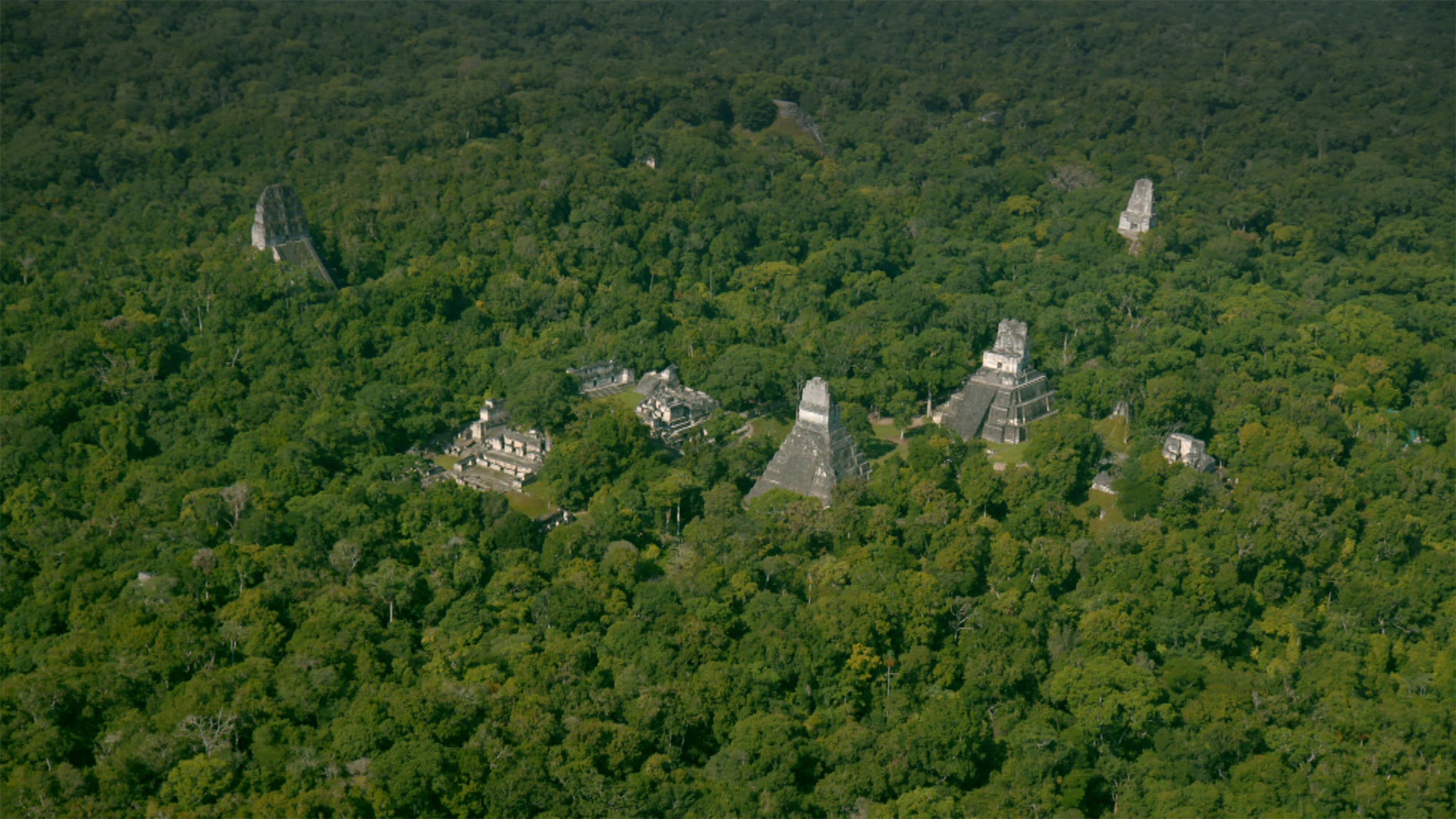 New Mayan Ruins Discovered: The Scientific Method, Technology, And ...